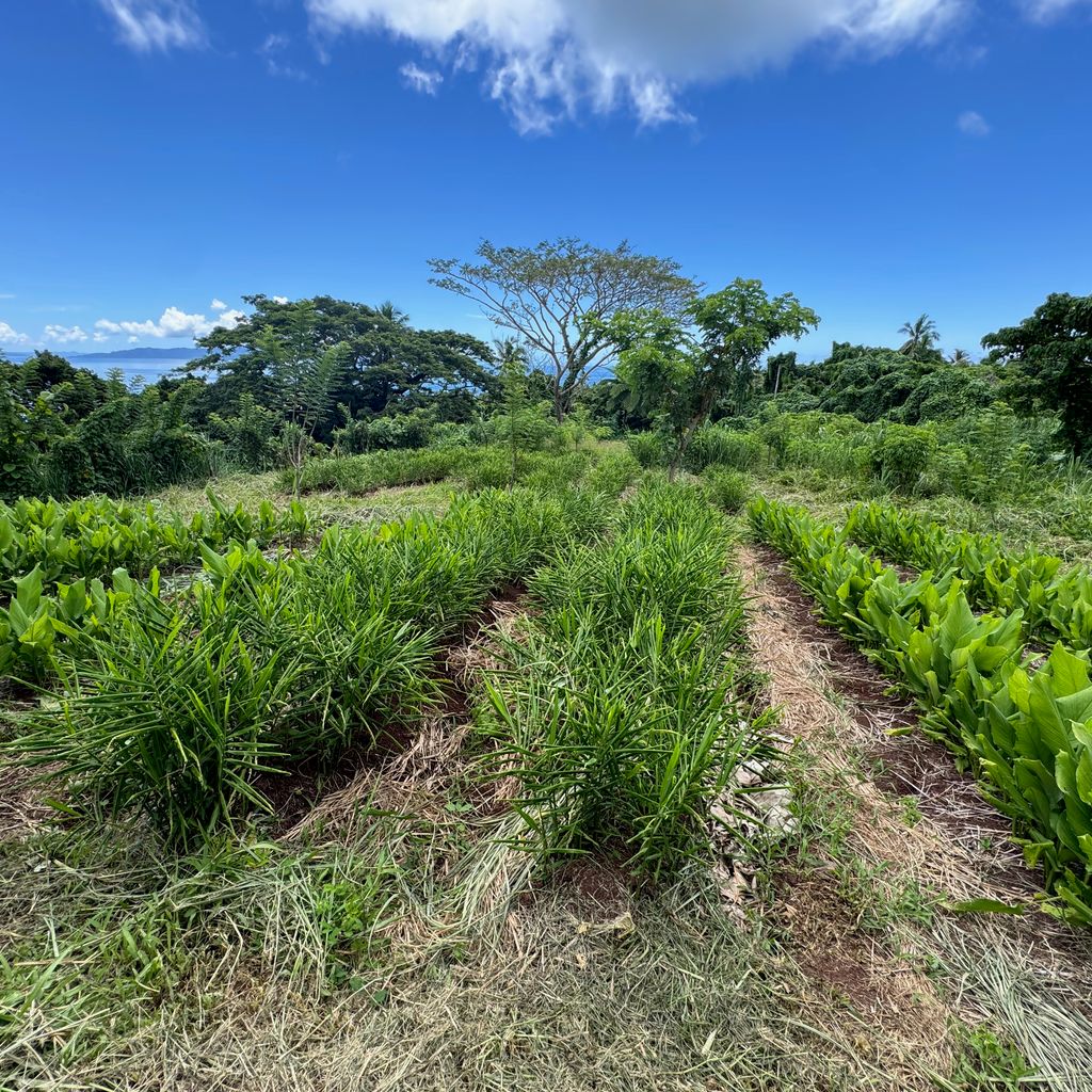 Organic and regenerative farming